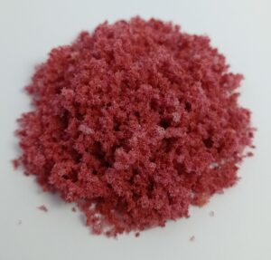 Foliage Otoñal Maple