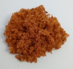 Foliage Otoñal Roble